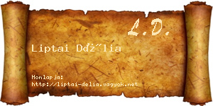 Liptai Délia névjegykártya